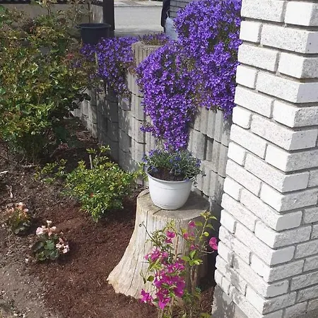 Hvidehus Aunslev Apartmán Nyborg